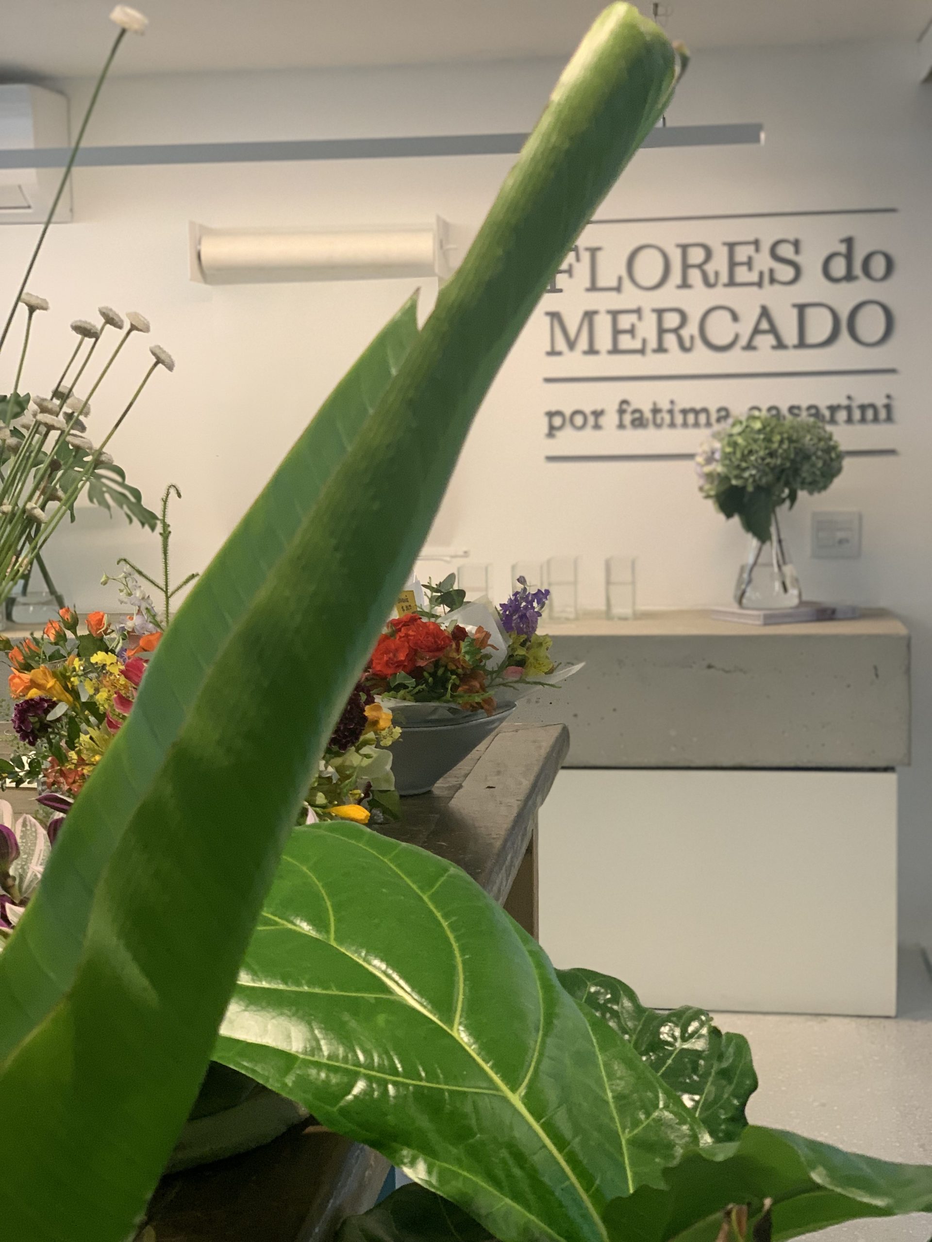 flores-do-mercado
